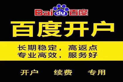 行业领先企业的SEM代运营成功之路